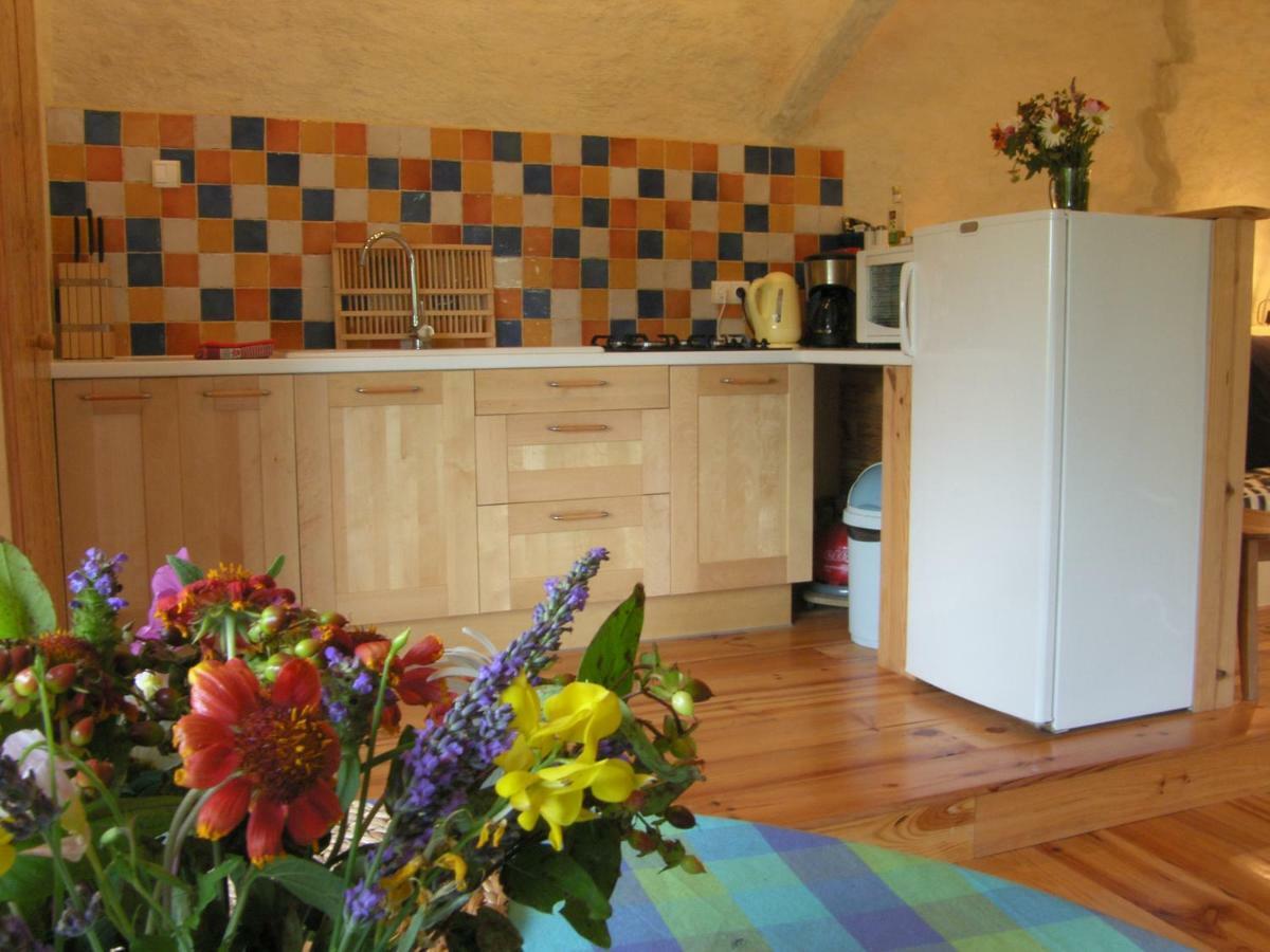 Puechblanc Gites Et Chambre D'Hote Dans Le Triangle D'Or Gaillac-Albi-Cordes Sur Ciel Fayssac ภายนอก รูปภาพ